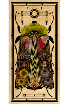 PPFSD_240x.webp?v=1700624047