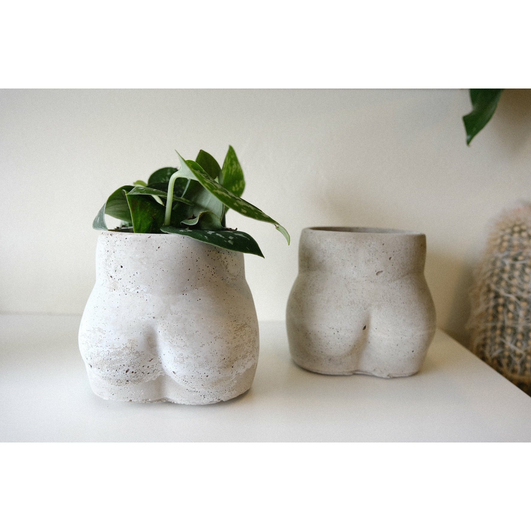 booty plant pot Dat Booty Planter