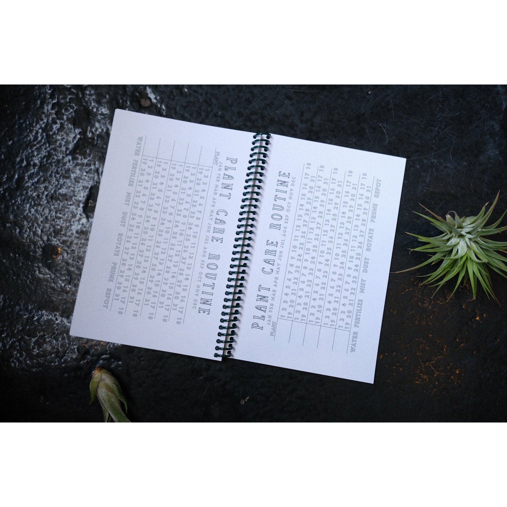 house plant care journal Houseplant Journal